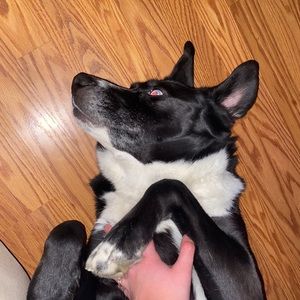 Meet your Posher, Cassandra